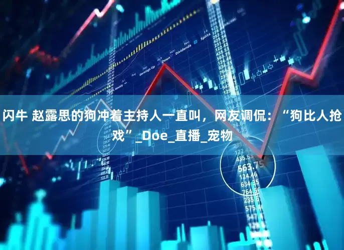 闪牛 赵露思的狗冲着主持人一直叫，网友调侃：“狗比人抢戏”_Doe_直播_宠物