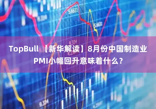 TopBull 【新华解读】8月份中国制造业PMI小幅回升意味着什么？