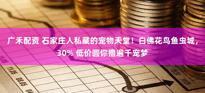 广禾配资 石家庄人私藏的宠物天堂！白佛花鸟鱼虫城，30% 低价圆你撸遍千宠梦
