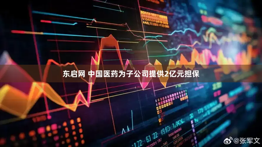 东启网 中国医药为子公司提供2亿元担保